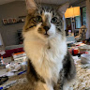 Meet your Posher, Caitlin